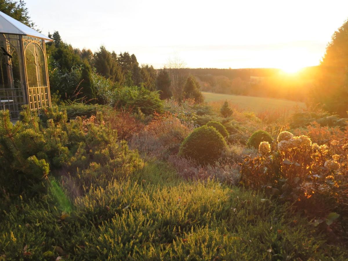 Ferienhaus Sonne, Harz Und Sterne Βίλα Hohegeiß Εξωτερικό φωτογραφία