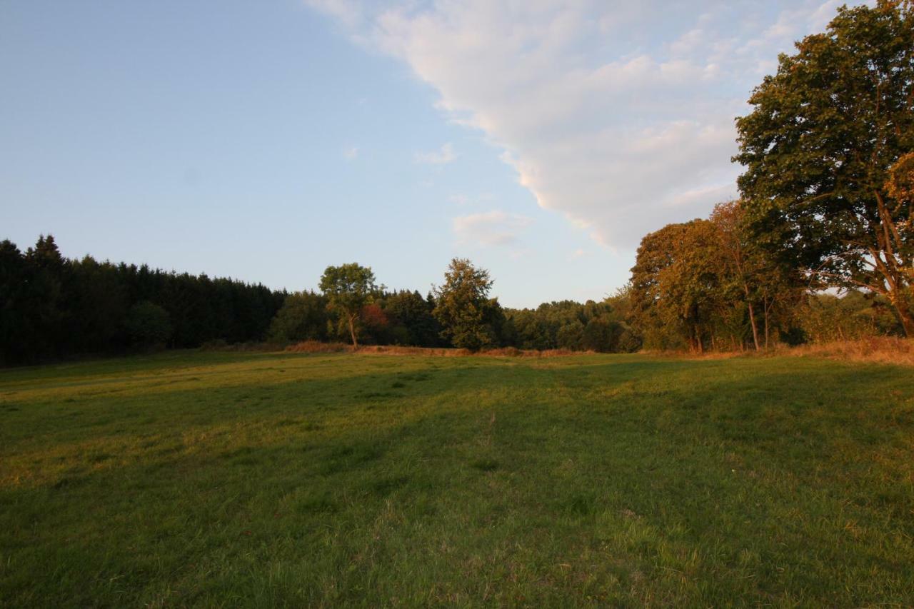 Ferienhaus Sonne, Harz Und Sterne Βίλα Hohegeiß Εξωτερικό φωτογραφία