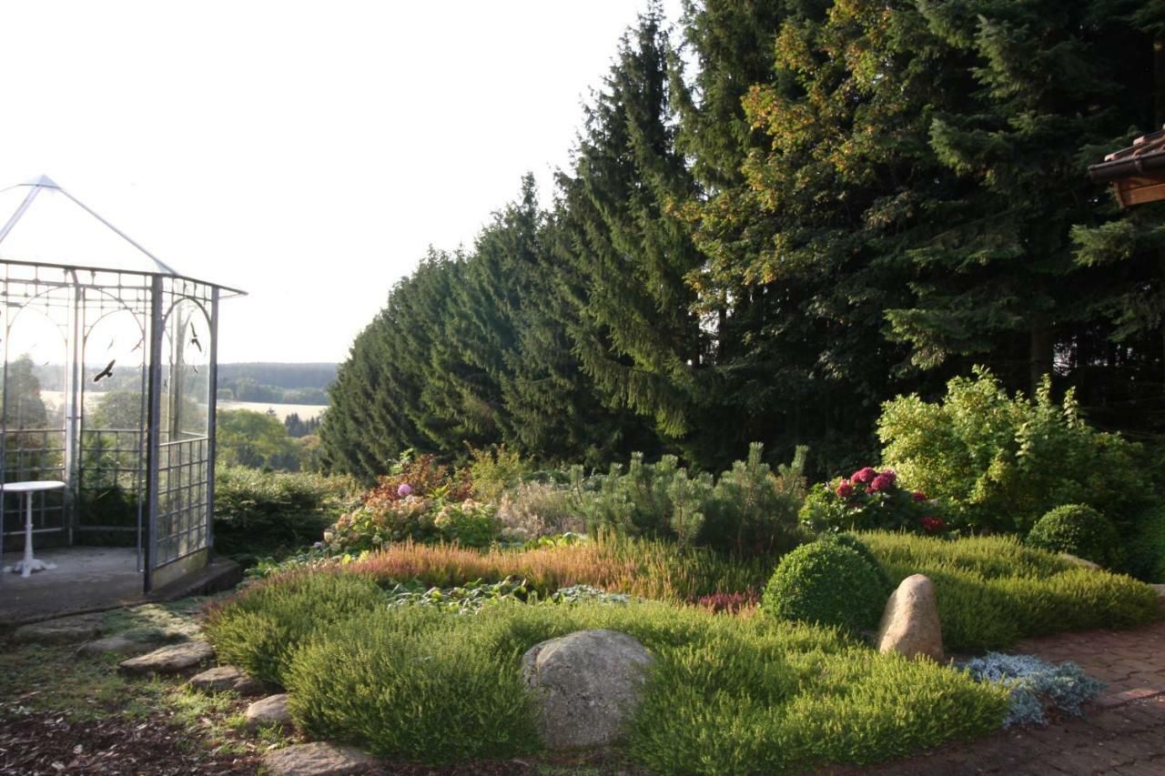 Ferienhaus Sonne, Harz Und Sterne Βίλα Hohegeiß Εξωτερικό φωτογραφία