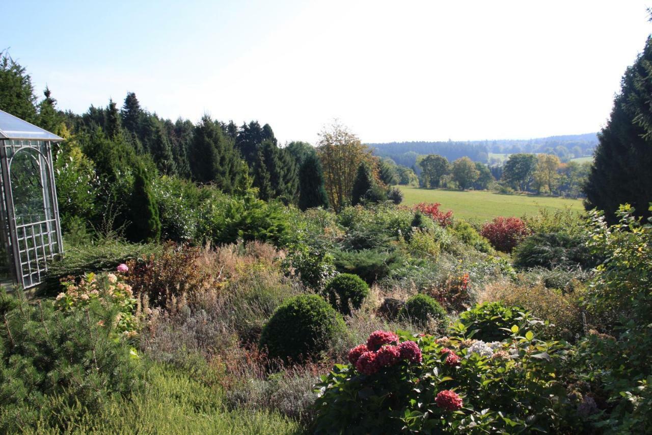 Ferienhaus Sonne, Harz Und Sterne Βίλα Hohegeiß Εξωτερικό φωτογραφία