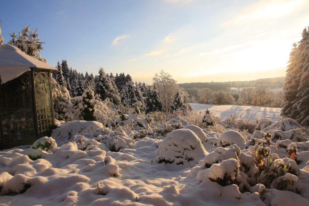 Ferienhaus Sonne, Harz Und Sterne Βίλα Hohegeiß Εξωτερικό φωτογραφία